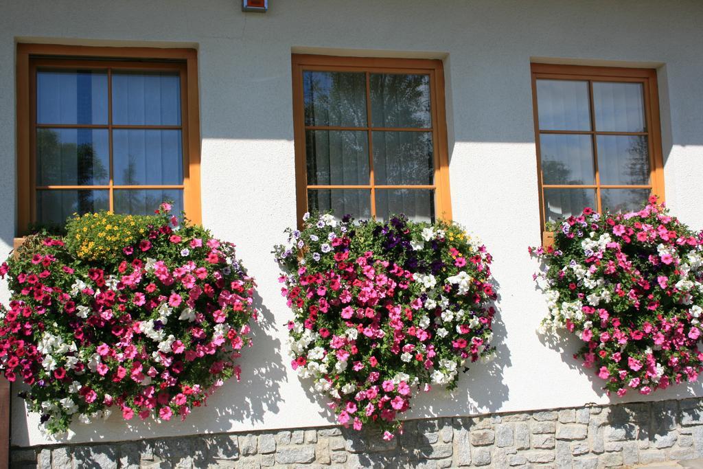 Penzion Slnecny Dom Hotel Tatranská Lomnica Exterior foto